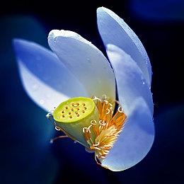 《银河战士Prime 4》新截图 萨姆斯再次踏上冒险旅途